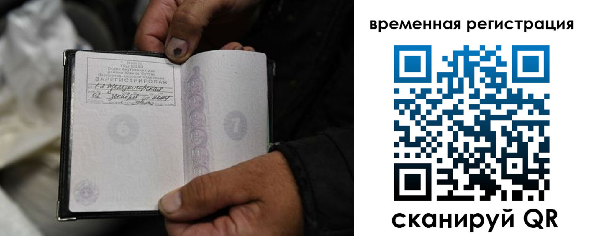 прописка поиск в Пскове